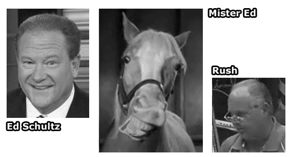 ED SCHULTZ, MR. ED, RUSH LIMBAUGH