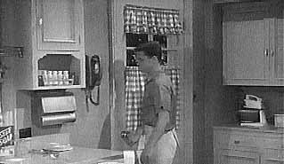 June Cleaver's kitchen