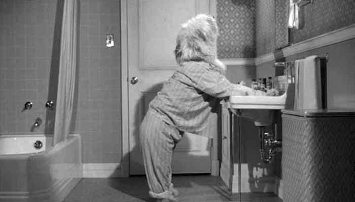 SHAGGY DOG