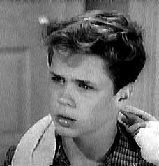 Tony Dow as Wally Cleaver